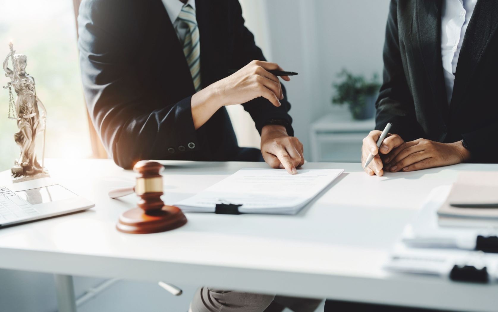  Back Basic   Юридические услуги